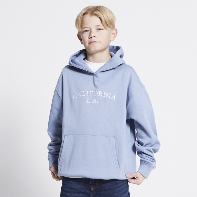 Printed hoodie "Jordon" Blue 2